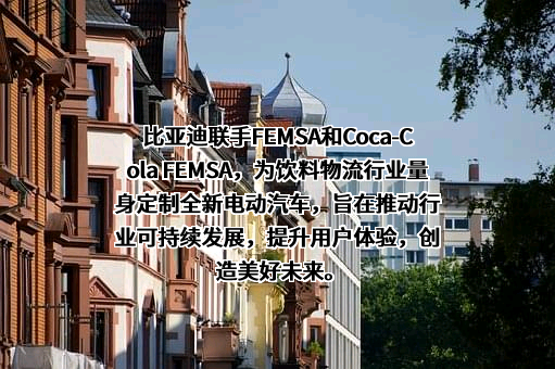 比亚迪股份有限公司