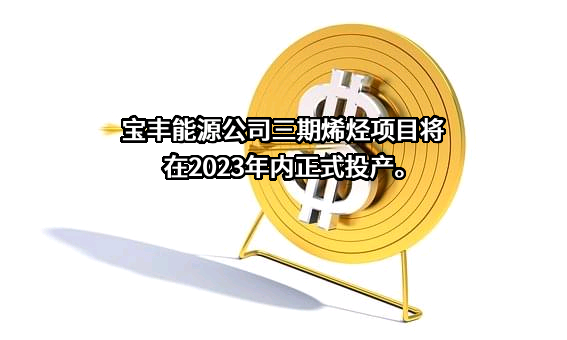 宁夏宝丰能源集团股份有限公司