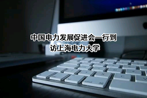 中国电力发展促进会