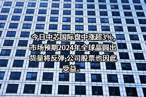 中芯国际集成电路制造（上海）有限公司