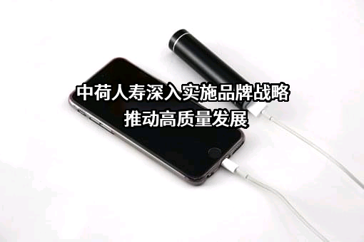 中荷人寿保险有限公司