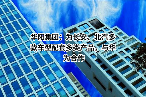 惠州市华阳集团股份有限公司