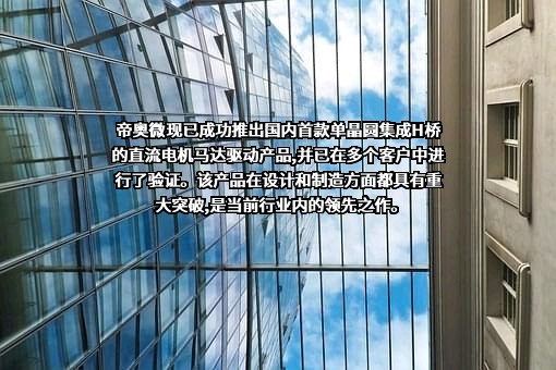 江苏帝奥微电子股份有限公司