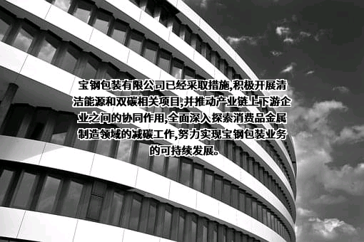 上海宝钢包装股份有限公司