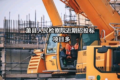 萧县人民检察院近期招投标项目多