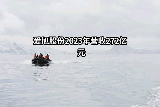 上海爱旭新能源股份有限公司