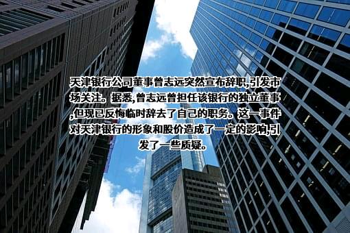 天津银行股份有限公司