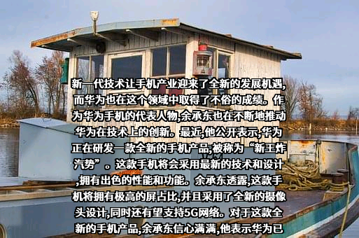 华为技术有限公司