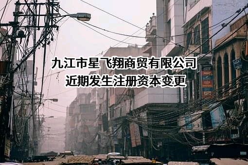 九江市星飞翔商贸有限公司