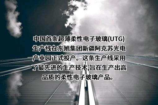 东旭集团有限公司