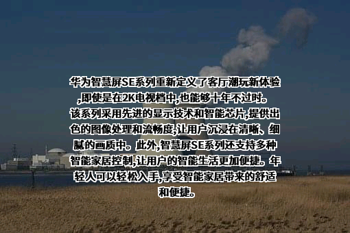 华为技术有限公司