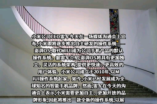 小米科技有限责任公司