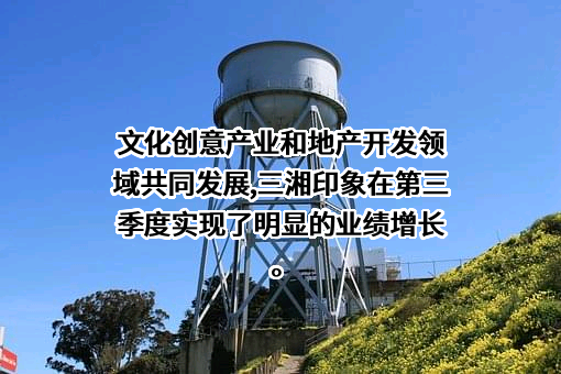 三湘印象股份有限公司