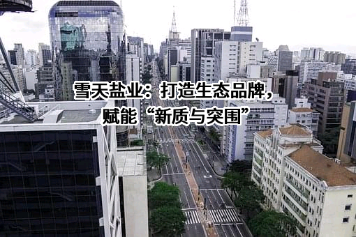 湖南雪天盐业技术开发有限公司