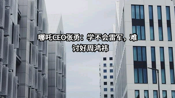 哪吒CEO张勇：学不会雷军，难讨好周鸿祎