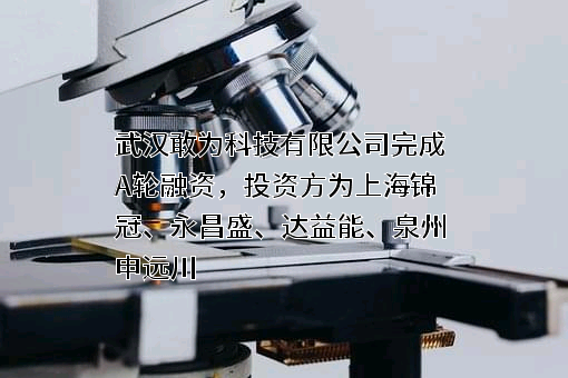 武汉敢为科技有限公司
