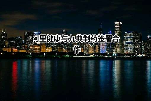 阿里宋汉信息技术有限公司