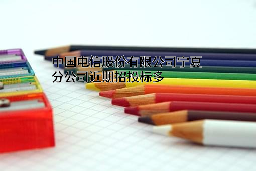 中国电信股份有限公司宁夏分公司