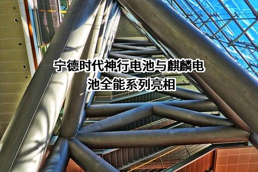 宁德时代新能源科技股份有限公司