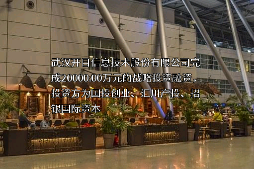武汉开目信息技术股份有限公司