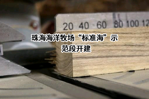 珠海市海洋发展集团有限公司