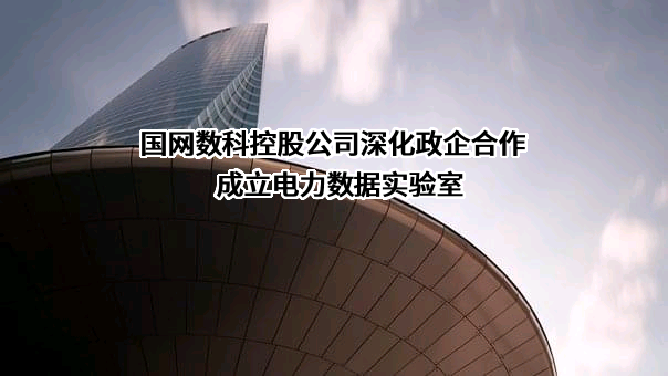 国网数字科技控股有限公司
