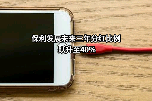 保利发展控股集团股份有限公司