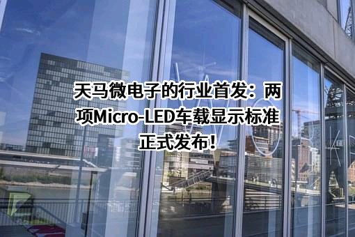 天马微电子股份有限公司