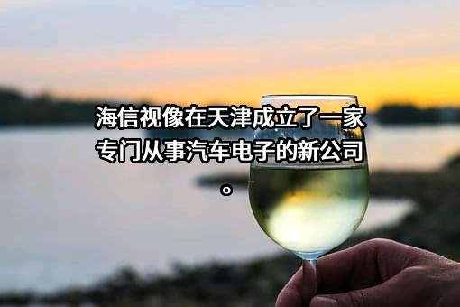 海信视像科技股份有限公司