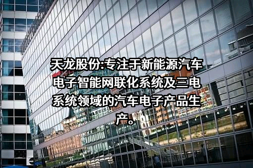 宁波天龙电子股份有限公司