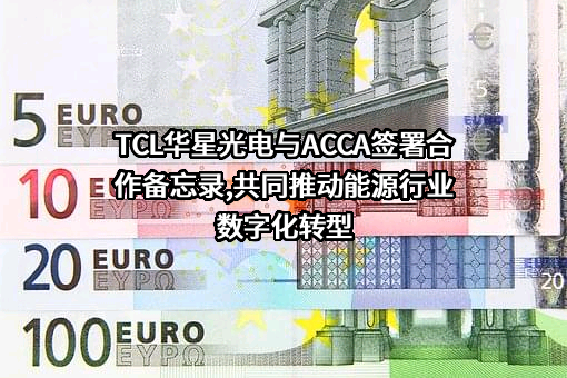 TCL华星光电技术有限公司