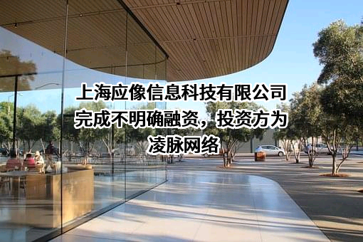 上海应像信息科技有限公司