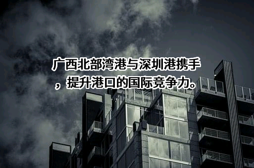 深圳港集团有限公司