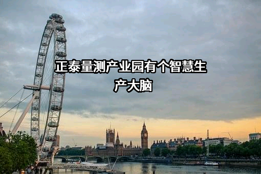 正泰量测技术股份有限公司