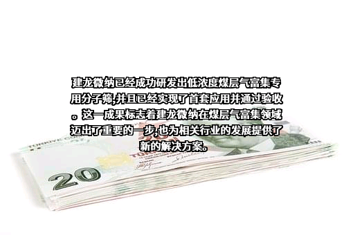 洛阳建龙微纳新材料股份有限公司