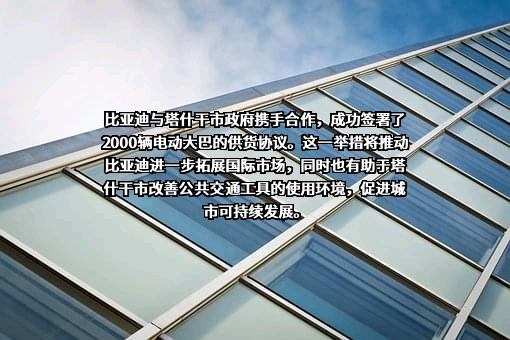 比亚迪股份有限公司