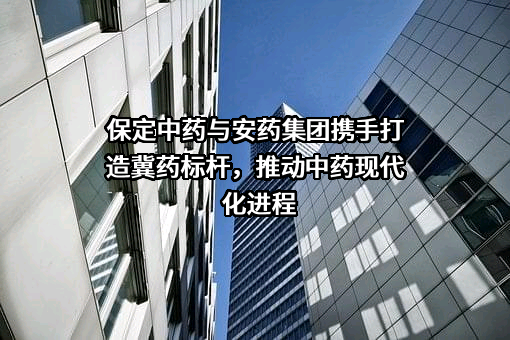 保定中药制药股份有限公司