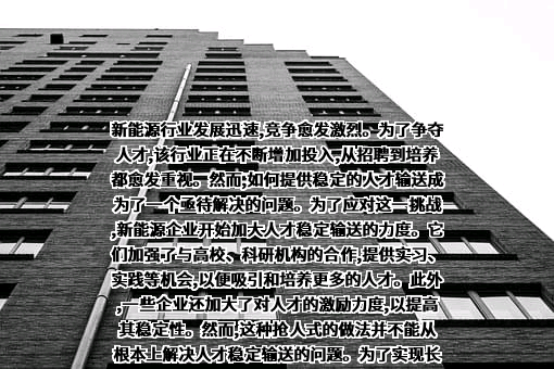 比亚迪股份有限公司