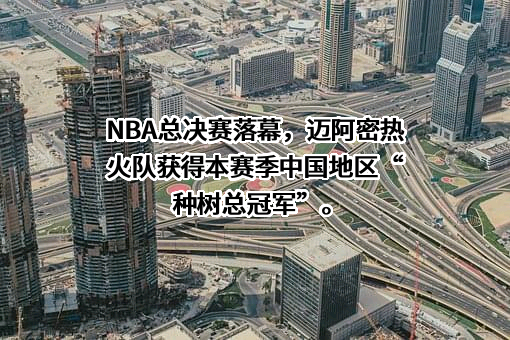 支付宝（中国）网络技术有限公司