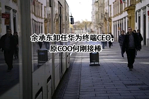深圳华为终端商业有限公司
