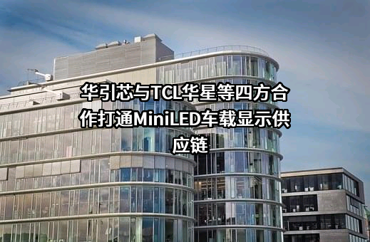 华引芯（武汉）科技有限公司