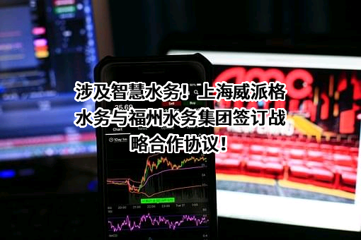 上海威派格智慧水务股份有限公司