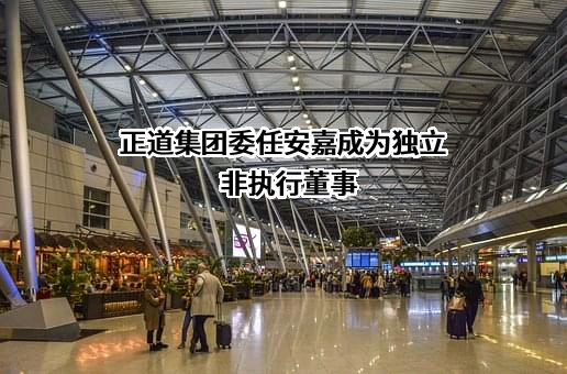 正道集团有限公司