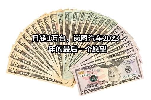 岚图汽车科技有限公司