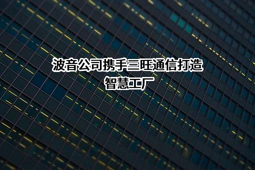 深圳市三旺通信股份有限公司