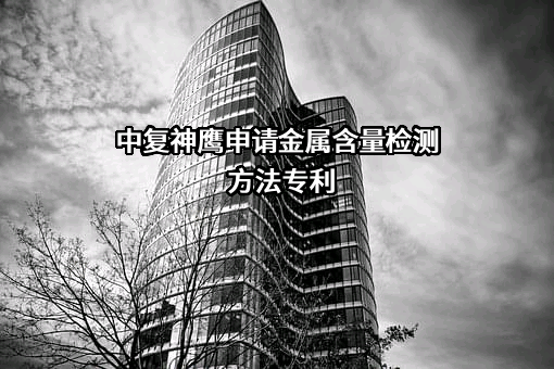 中复神鹰碳纤维股份有限公司