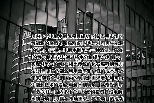 广东清能睿龙新能源科技有限公司