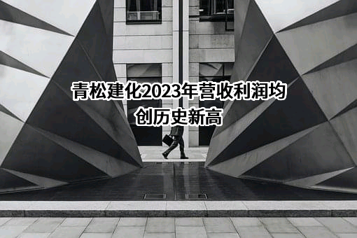 新疆青松建材化工（集团）股份有限公司