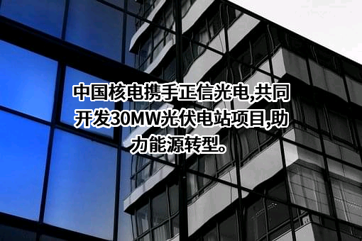 中国核能电力股份有限公司