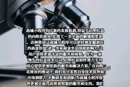 启明信息技术股份有限公司